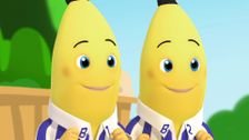 S2 E38: The Forgetful Bananas