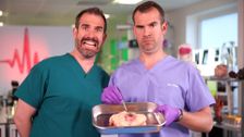 S6 E10: Sensational Sphincters