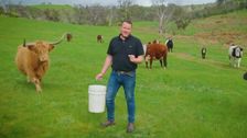 S13 E9: South Aussie With Cosi