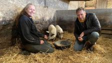 S14 E10: The Yorkshire Vet