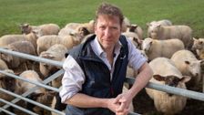 S12 E5: The Yorkshire Vet