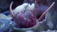 S1 E3: Southern Ocean