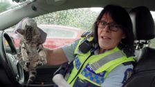 S20 E6: Motorway Patrol