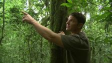 S2 E12: Uganda