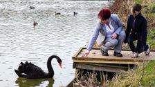 S2 E2: The Yorkshire Vet