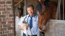 S7 E11: The Yorkshire Vet