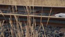S31 E23: Blood on the Tracks