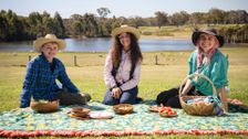 S3 E37: Farm To Plate