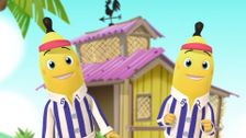 S2 E41: The Beach Shack