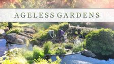 Ageless Gardens