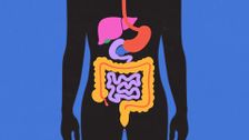 S1 E2: Digestive System