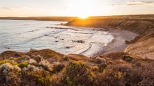 S13 E19: South Aussie With Cosi