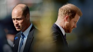 William and Harry: The Rise and Fall
