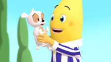 S3 E32: The Naughty Puppy