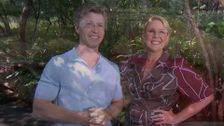 S11 E13: I'm A Celebrity...Get Me Out Of Here!
