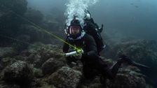 S1 E3: Sharks of the Pacific Ocean