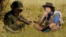S1 E15: Australopithecus and Hair