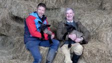 S6 E1: The Yorkshire Vet