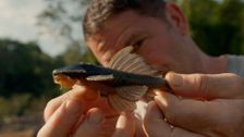 S5 E4: Steve's River Expedition