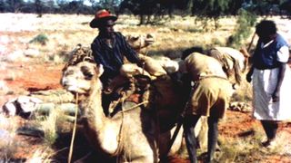 Camels and the Pitjantjara