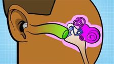 S1 E5: Your connected body