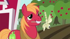 S5 E17: Brotherhooves Social