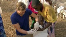 S5 E24: Kenya Special