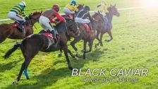 Black Caviar - Horse of a Lifetime