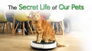 The Secret Life of Our Pets