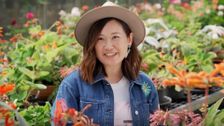 S36 E27: Spring: Garden for Birds & No-Mow Lawn