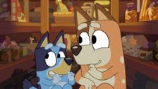 S1 E42: Hide and Seek