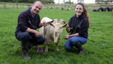 S1 E5: The Yorkshire Vet