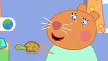 S3 E29: Doctor Hamster's Tortoise