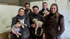 S12 E11: The Yorkshire Vet