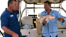 S2 E6: The best of Top End Fishing