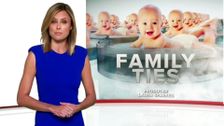 S39 E42: Family ties, Pauline Hanson, Them 4, Wanderlust