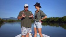 S23 E17: Creek to Coast
