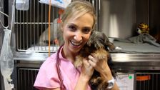 S4 E16: Swimming Pool Therapy for a Little Puppy