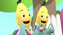 S1 E29: The Delivery Bananas