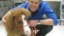 S3 E4: Bondi Vet