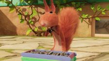 The Most Magnificent Squirrel Station