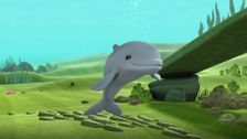 S1 E41: The Dolphin Reef Rescue