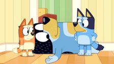 S3 E25: Ragdoll