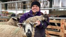 S14 E1: The Yorkshire Vet
