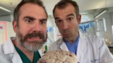 S9 E9: How to Train a Brain