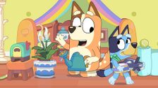 S1 E47: Neighbours