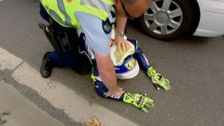 S4 E8: Sandwich Pursuit