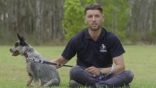 S4 E12: The Dog House Australia