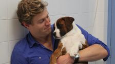 S3 E3: Bondi Vet