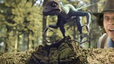 S1 E5: Epidexipteryx and Tail Feather